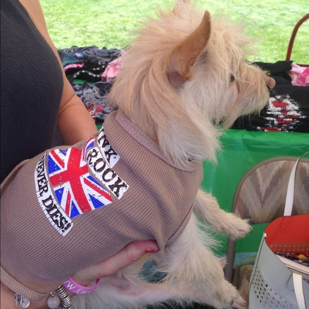Doggie Punk rock never dies🐶💙